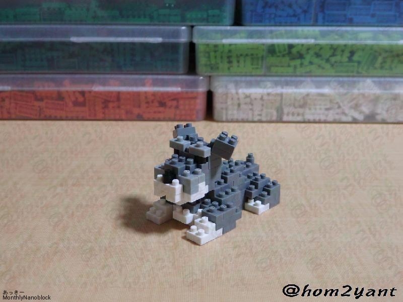 月刊NanoBlock] 2015年 02月号 : シュナウザー(伏せ)